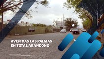 Av. Las Palmas en total abandono| CPS Noticias Puerto Vallarta