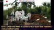 Ebola case confirmed in Congo's west Equateur province - 1breakingnews.com