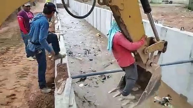 Héros du jour, ils sauvent un chien tombé à l'eau avec une pelleteuse