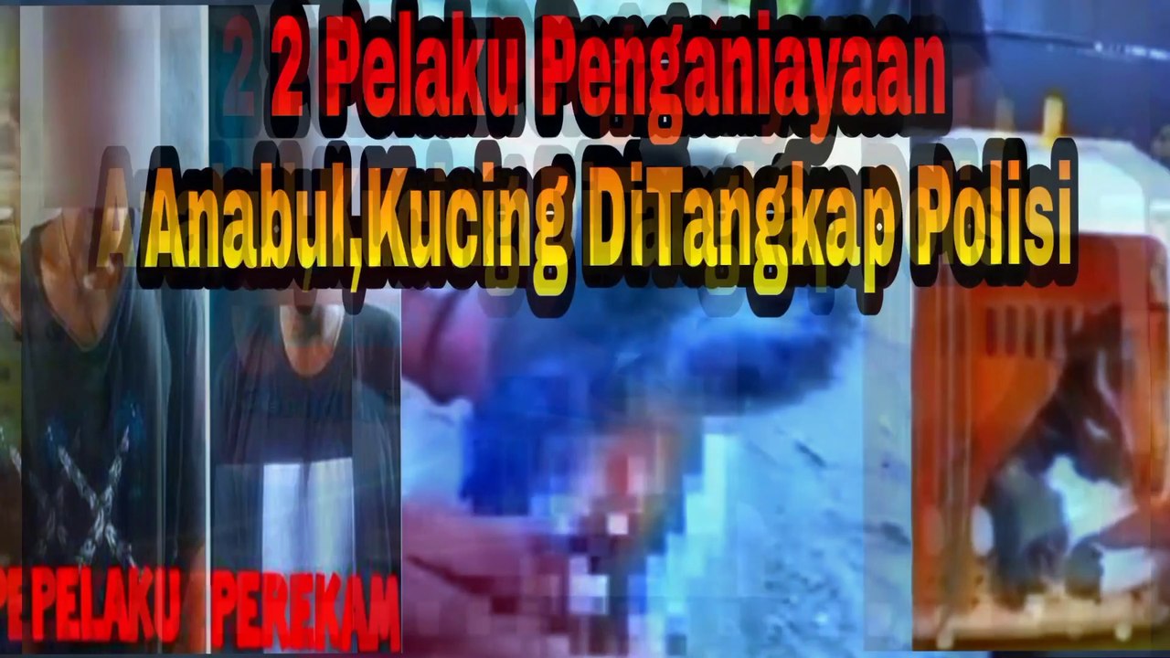DUA Pria DiAmanKan Polisi ,karna Telah Menganiaya Anabul