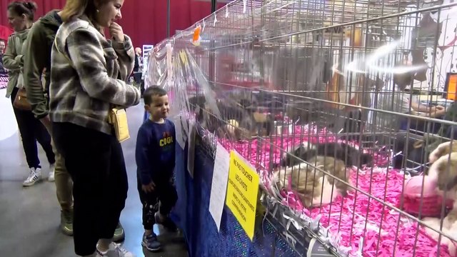 Premier Salon des animaux de compagnie à Martigues