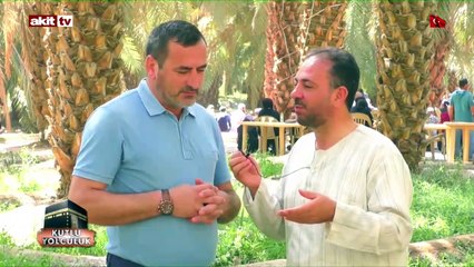 Hurma ağacının önemi ve özellikleri