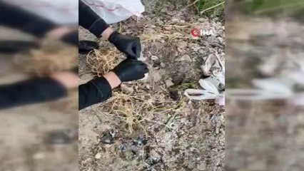 Muğla'da uyuşturucuyu küllerin içine saklayan şahıs yakalandı