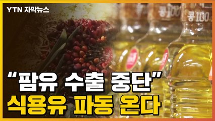 [자막뉴스] "식용유 파동 온다"...팜유 수출 중단한 인도네시아 / YTN