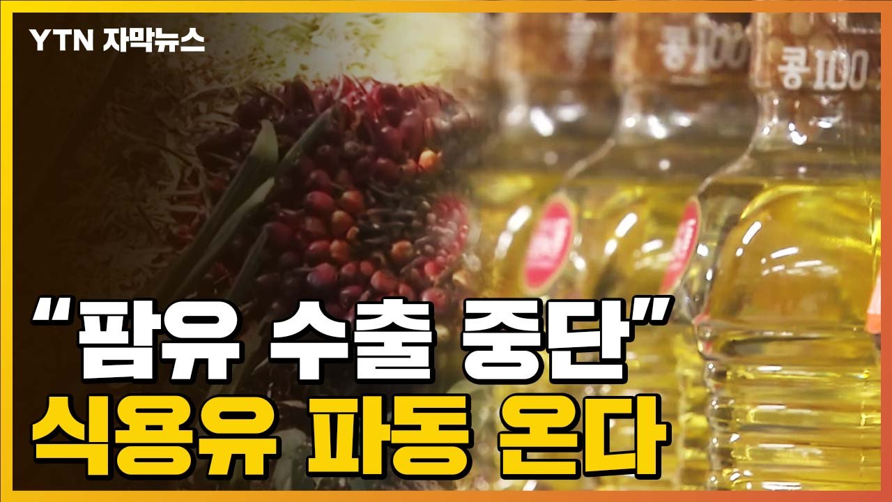 [자막뉴스] "식용유 파동 온다"...팜유 수출 중단한 인도네시아 / YTN