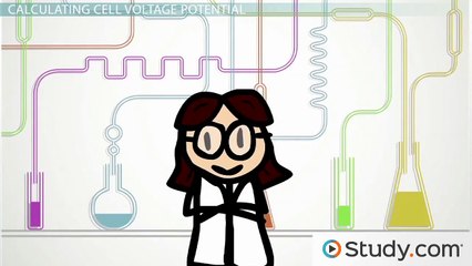 Cathode and Anode Half-Cell Reactions