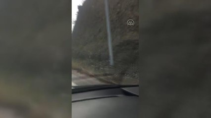 Kara yolunda koşan karaca görüntülendi