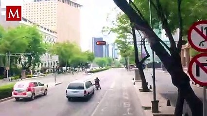 ¿Tiene más de 100 años? El mito de la Glorieta de la Palma