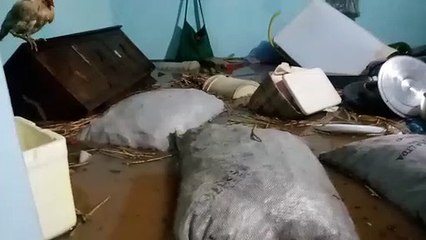 Moradores ficam ilhados em Cariús após barragem romper