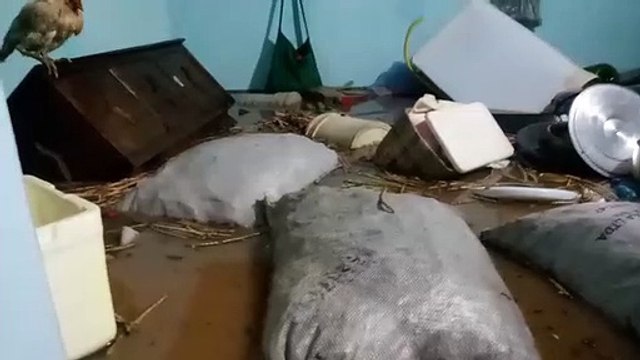 Moradores ficam ilhados em Cariús após barragem romper