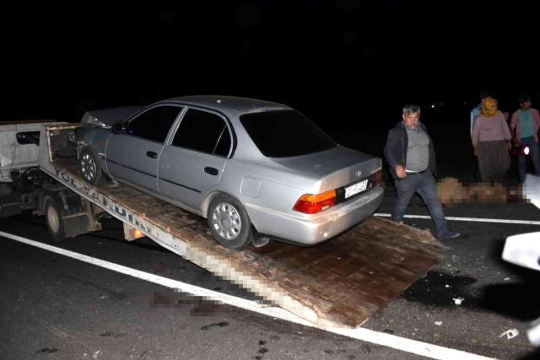 Siverek'te otomobil koyun sürüne daldı: 12 koyu...