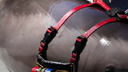 Secret Military Projects On Animals Has Been Revealed