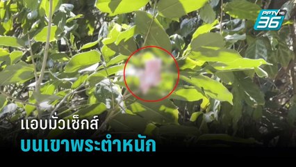 คนรักสุขภาพ จวกพวกไร้สำนึก แอบมั่วเซ็กส์บนเขาพระตำหนัก | โชว์ข่าวเช้านี้