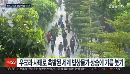 인니, 이번엔 식용 팜유 수출 중단…세계밥상 물가 충격파