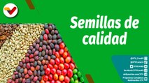 Cultivando Patria | Finca El Carboncito destaca por su gran variedad de semillas de café en Miranda