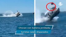 Choca embarcación con ballena jorobada en bahía de La Paz, BCS; hay 5 lesionados