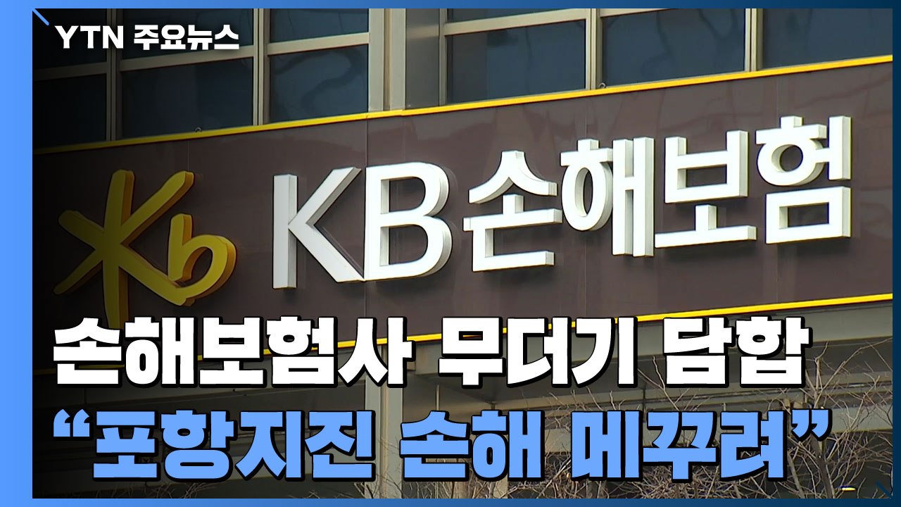 "포항지진 손해 메꾸려고"...손해보험사 무더기 담합 / YTN
