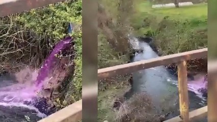 CHP'li başkandan dereyi kirletenlere: Yakalayacağım sizi!