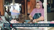 Mahal! Harga Daging Ayam Diprediksi Akan Terus Merangkak Naik Hingga H-1 Lebaran