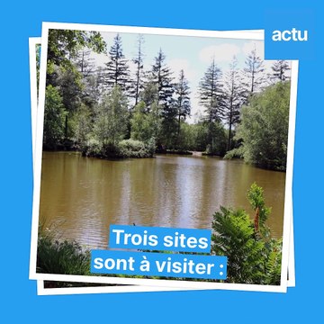 Parcs et jardins au Mans : l'Arche de la nature