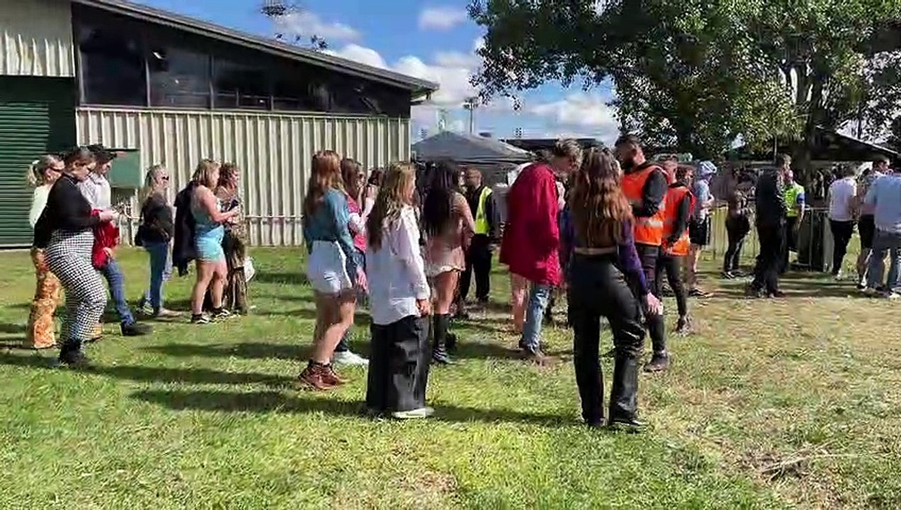 Groovin the Moo