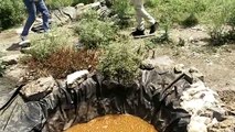 गुना में अवैध शराब के खिलाफ पुलिस की बड़ी कार्रवाई, जमीन में छुपाकर रखी गई थी शराब