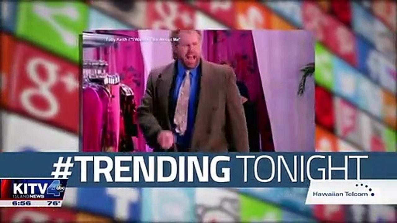 Découvrez le plus vieux chien du monde vivant : C'est un chien de race chihuahua qui vit en Floride et vient d'entrer dans le livre des records et il est âgé de...