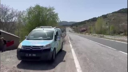 Yol kenarında yaralı bulunan köpek tedavi altına alındı