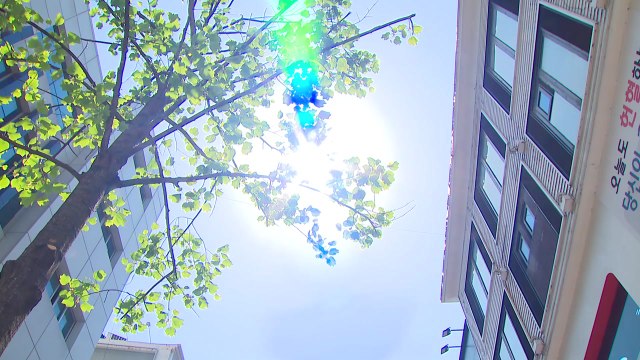 [날씨] 대구는 벌써 여름...내일 퇴근길부터 태풍급 비바람 / YTN