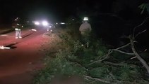 Após supostamente desviar de árvore caída na BR-467, condutor perde controle e abandona veículo batido