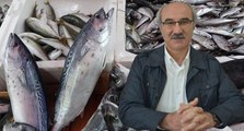 Prof. Dr. Mustafa Sarı uyardı: ‘Acilen kapatılmalı, Marmara’dan başlamalıyız’