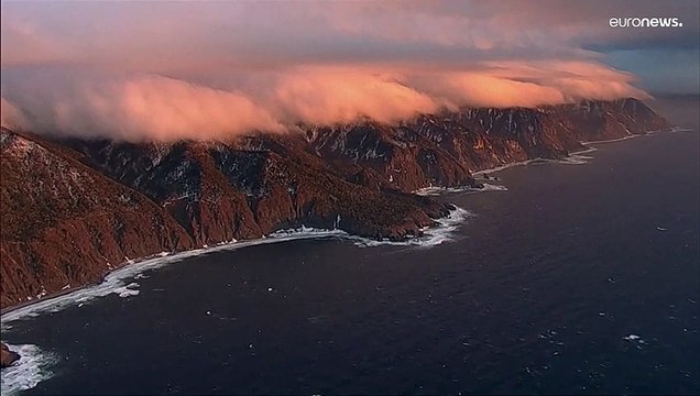 Крушение круизного судна у берегов Японии: найдены выжившие