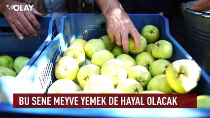 Bursa'da bu sene meyve almak hayal olacak