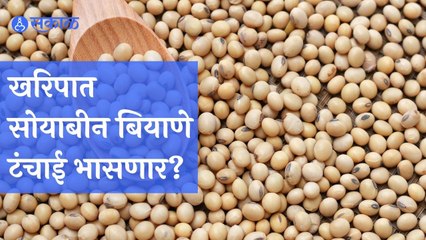 Soyabean Seed for Kharif | यंदा बियाणेटंचाई भासणार नाही | Sakal