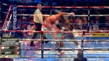 KNOCKOUT!!! What Really Happened (Tyson Fury vs Dillian Whyte)