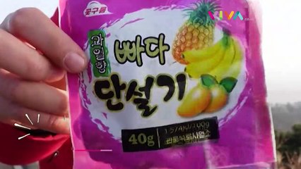 Pria Kumpulkan Ribuan Sampah Demi Cari Rahasia Korut
