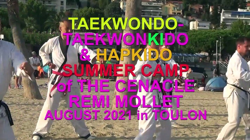 Stage été Taekwonkido - Toulon - août 2021