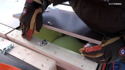 В Норвегию возвращается песец