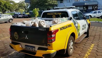 Patrulha Rural da Polícia Militar recupera quantia de agrotóxicos