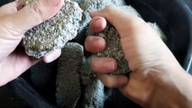 Super Gritty Concrete Cement Sand Dry Crumbles Cr: Fin Fin ASMR