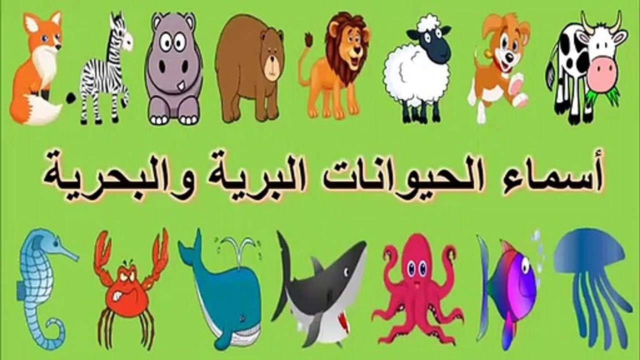 Toyour al Jannah For Baby - ‫تعلم أسماء الحيوان...