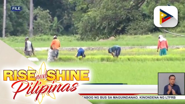 P12-M halaga ng fuel subsidy sa mga magsasaka at mga mangingisda, naipamahagi ng Department of Agriculture