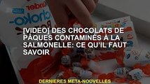 [Vidéo] Chocolat de Pâques contaminé par la salmonelle : ce qu'il faut savoir