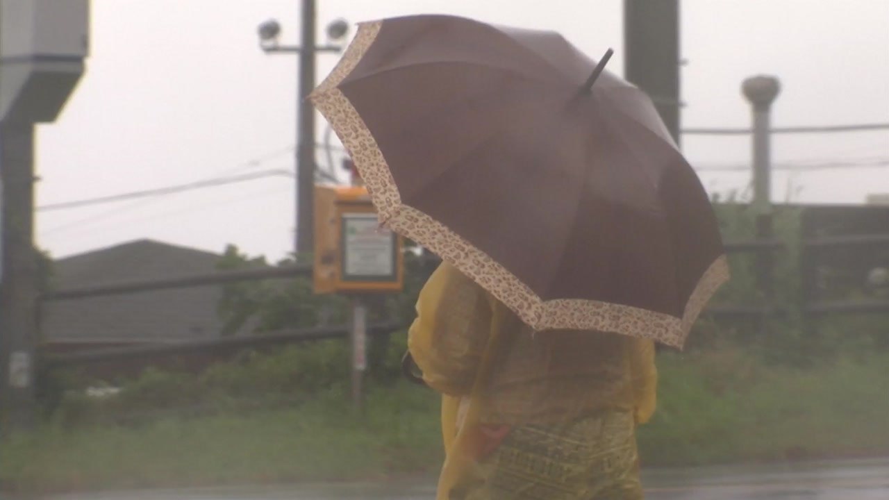 [날씨] 오늘 밤부터 전국 비...남해안·제주 돌풍 동반 강한 비 / YTN
