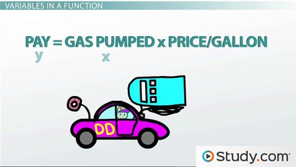 Understanding Functions: Basics and Key Terms Explained 🧠