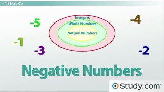 What are the Different Types of Numbers