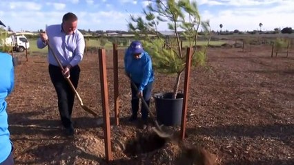 Lone Pine WWI tribute for fallen Geraldton soldiers