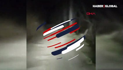 Anne ayı 4 yavrusuyla görüntülendi