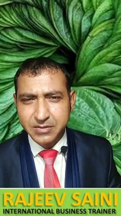 sourcing of betel leaves,  betel leaves sourcing, sourcing betel leaves, betel leaves supply