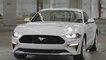 2022 Ford Mustang Coupe Ice White Appearance Package Design preview